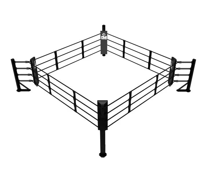 Fuji Boxing Ring