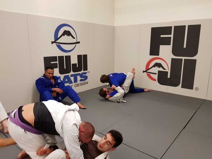 Fuji Euro Wall Pads