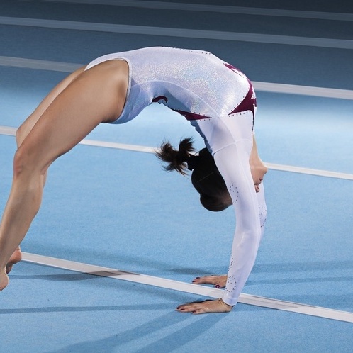 Gymnastics Flooring