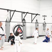 Fuji Mushroom Heavy Bag