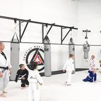 Fuji Tear Drop Heavy Bag