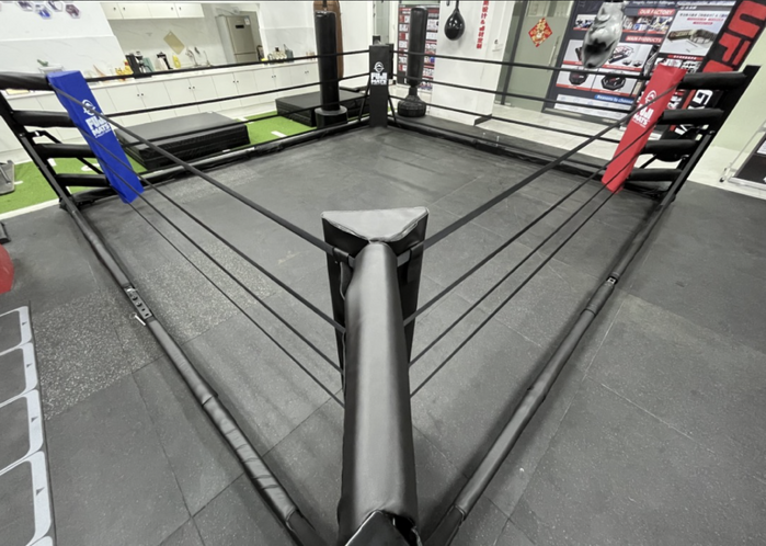 Fuji Fold-Away Boxing Ring