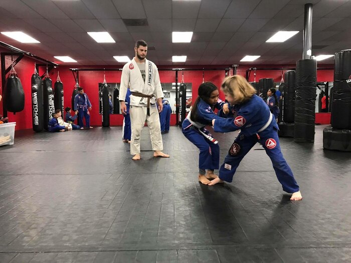 Fuji Commercial Roll Out Mats