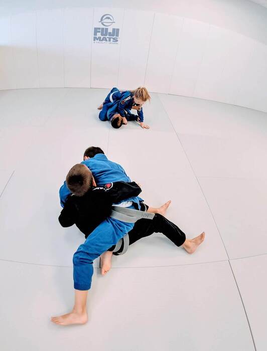 Fuji Tatami Series Half Mats