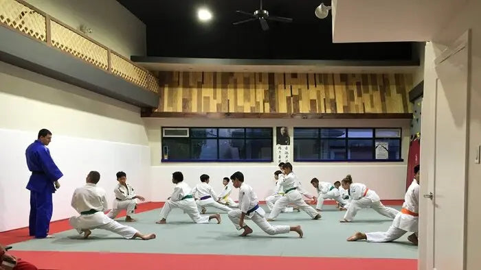 Fuji Tatami Mats in Green and Red