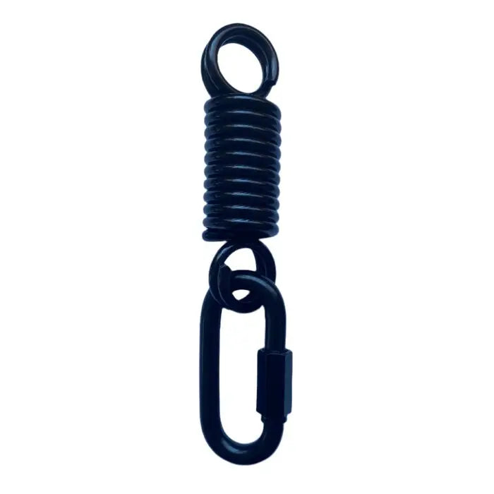 Fuji Heavy Bag Spring